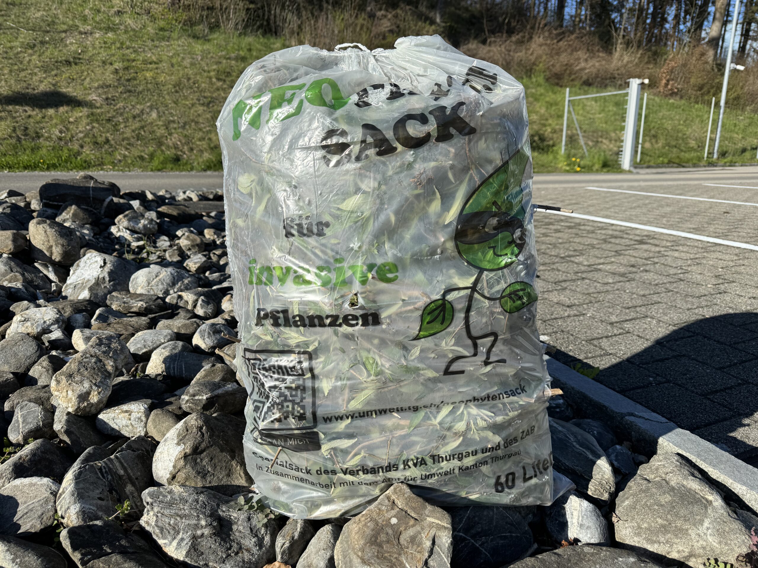 Ab Frühjahr 2024 können Bürger*innen invasive Neophyten aus privaten Gärten gratis abgegeben.