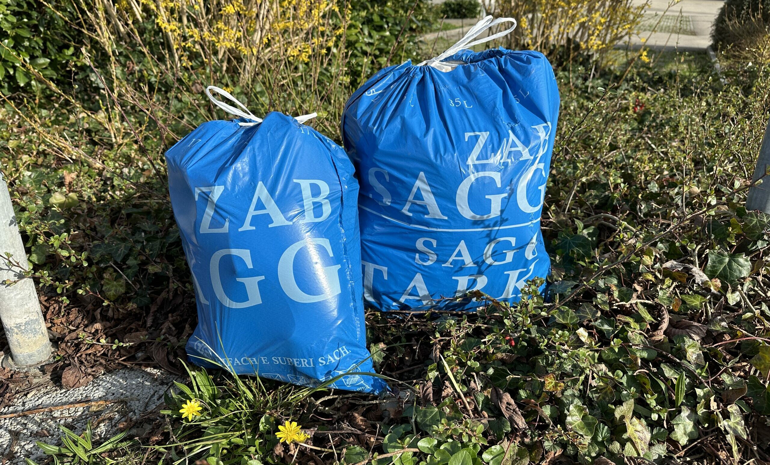 Der ZAB führt einen neuen ZAB-Sagg ein.